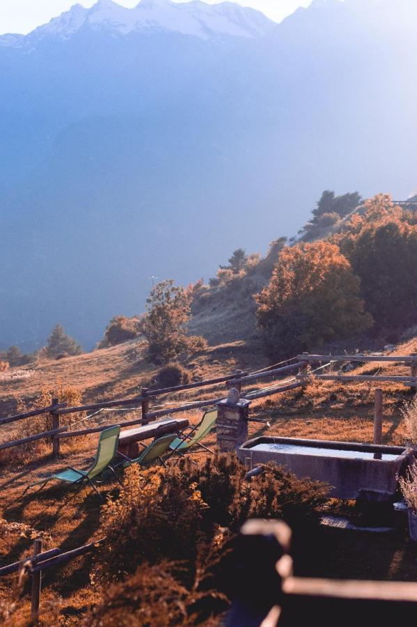 La Tana Dello Scoiattolo Villa Saint-Pierre Dış mekan fotoğraf